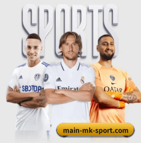 mk体育 APP(mk sports)