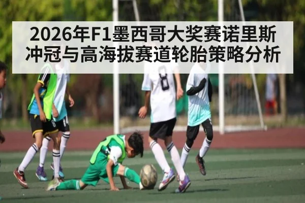 2026年F1墨西哥大奖赛诺里斯冲冠与高海拔赛道轮胎策略分析